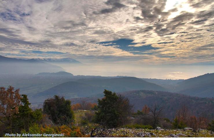 Aleksandar Georgievski 4