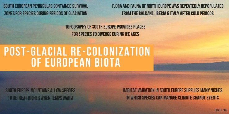 Balkan Refugia, Hewitt.jpg