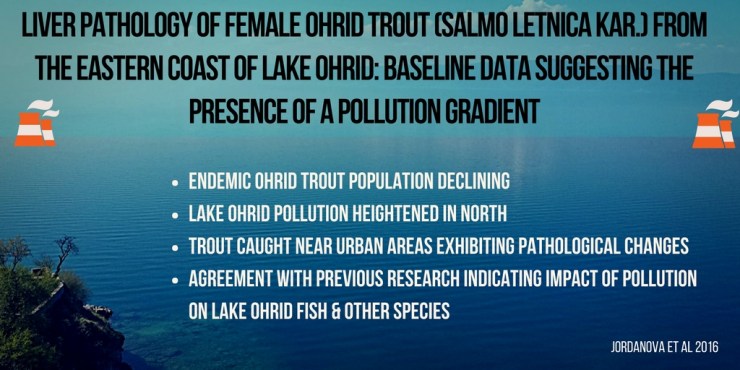 Ohrid Trout Pollution