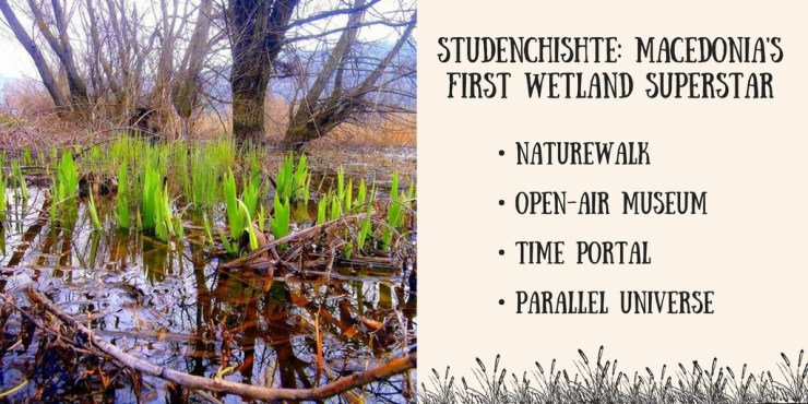 Wetland Superstar